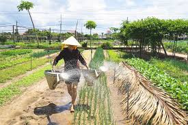 cycling tour vn